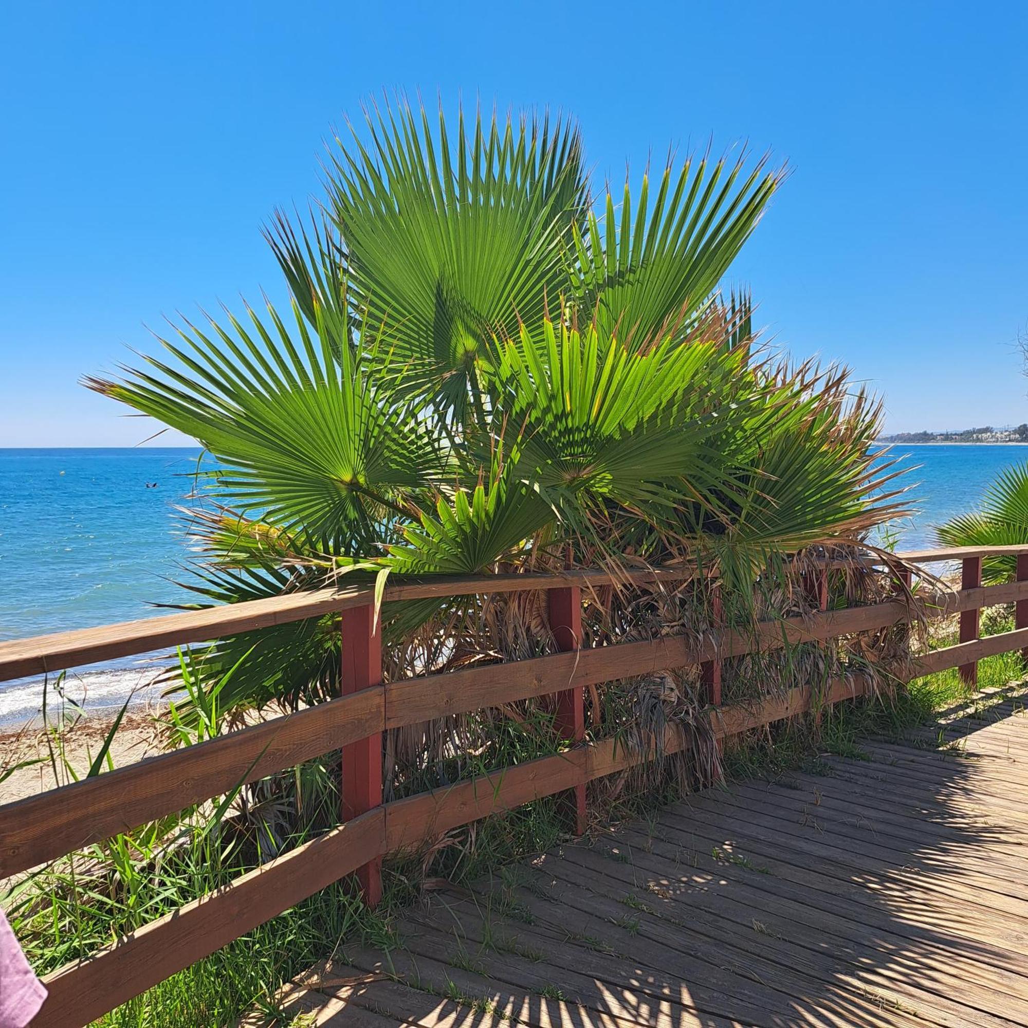 Hello Cosmo Apartment Estepona Bagian luar foto